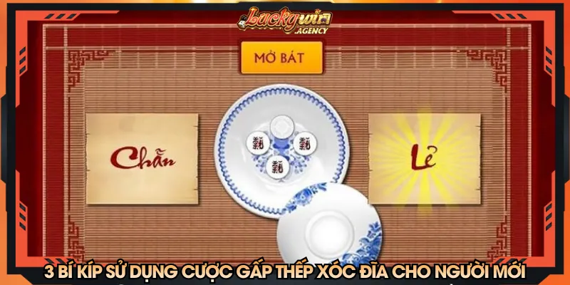 3 bí kíp sử dụng cược gấp thếp xóc đĩa cho người mới