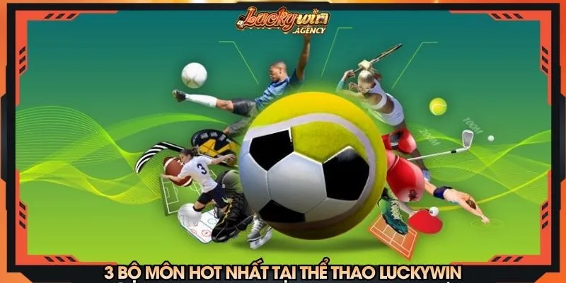 3 bộ môn hot nhất tại cá cược thể thao