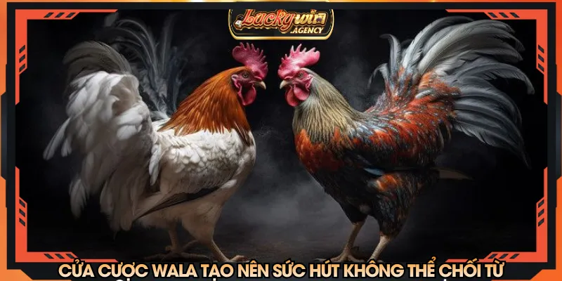 Cửa cược Wala tạo nên sức hút không thể chối từ