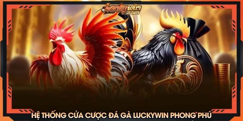 Hệ thống cửa cược đá gà phong phú