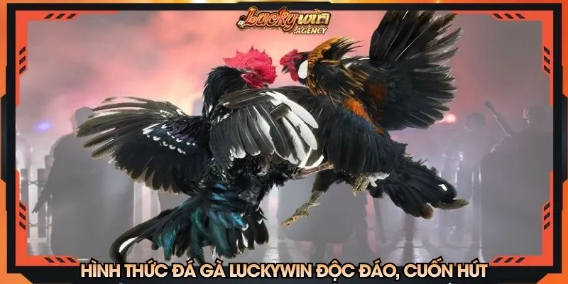 Hình thức đá gà tại LUCKYWIN độc đáo, cuốn hút