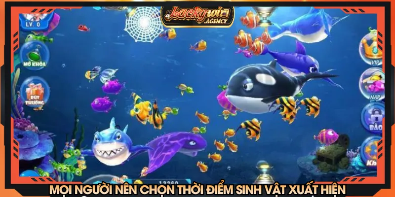 Mọi người nên chọn thời điểm sinh vật xuất hiện