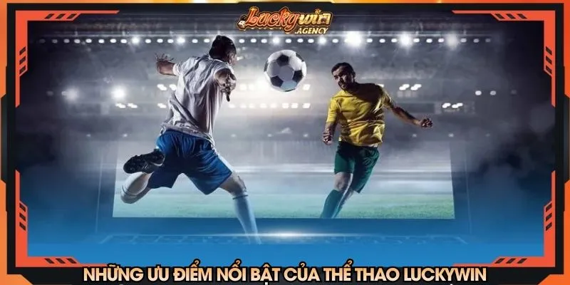 Những ưu điểm nổi bật của sảnh thể thao